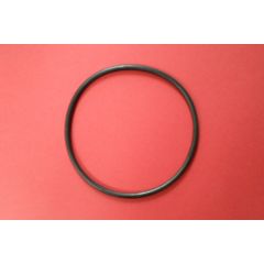 Anello pompa a filtro con clorinatore cod.10712