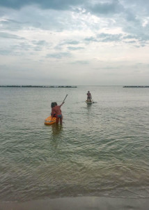un giro in compagnia